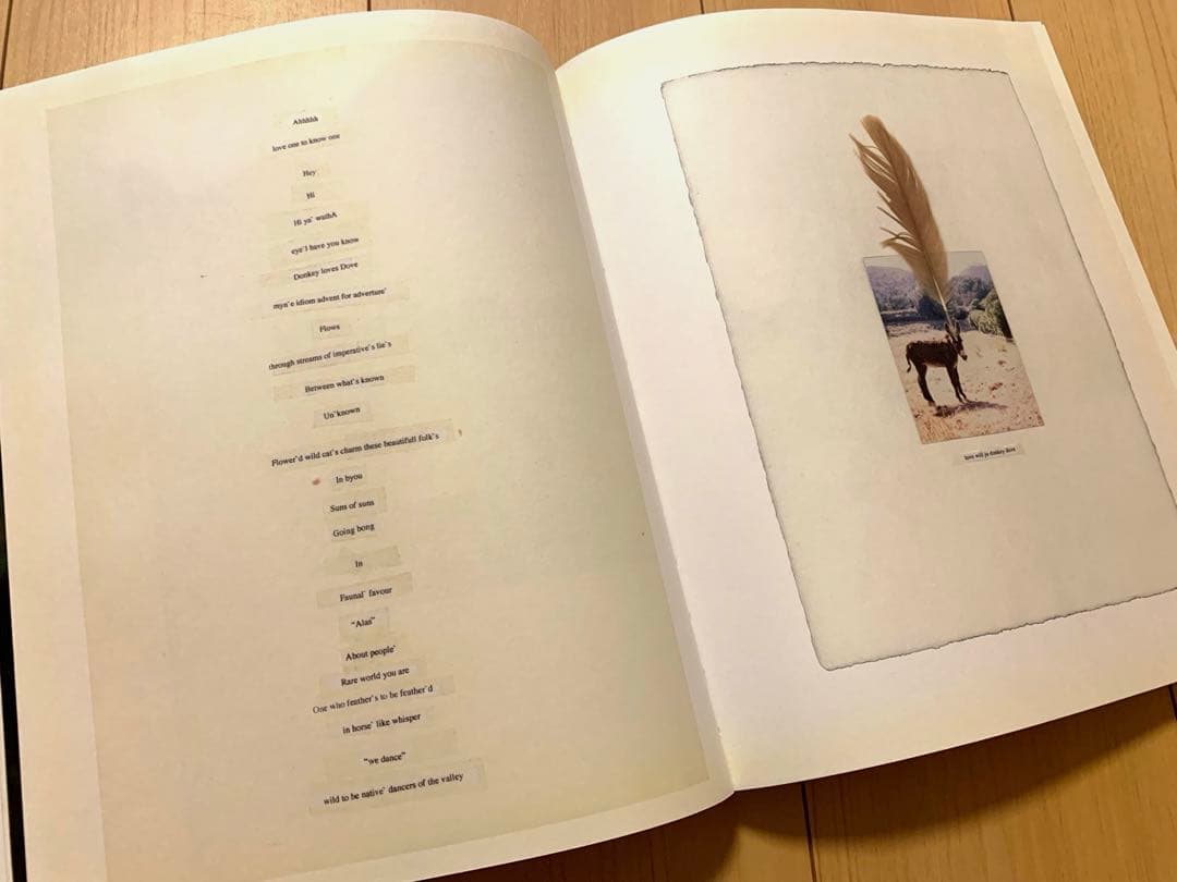 アート・デザイン・音楽 Mark Borthwick / not in fashion