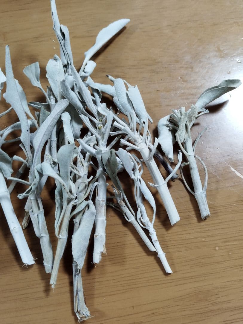 激安価格☆無農薬アウトレットホワイトセージリーフクラスター1KG箱入り業務用価額