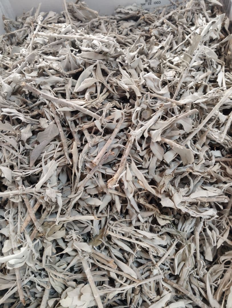 激安価格☆無農薬アウトレットホワイトセージリーフクラスター1KG箱入り業務用価額