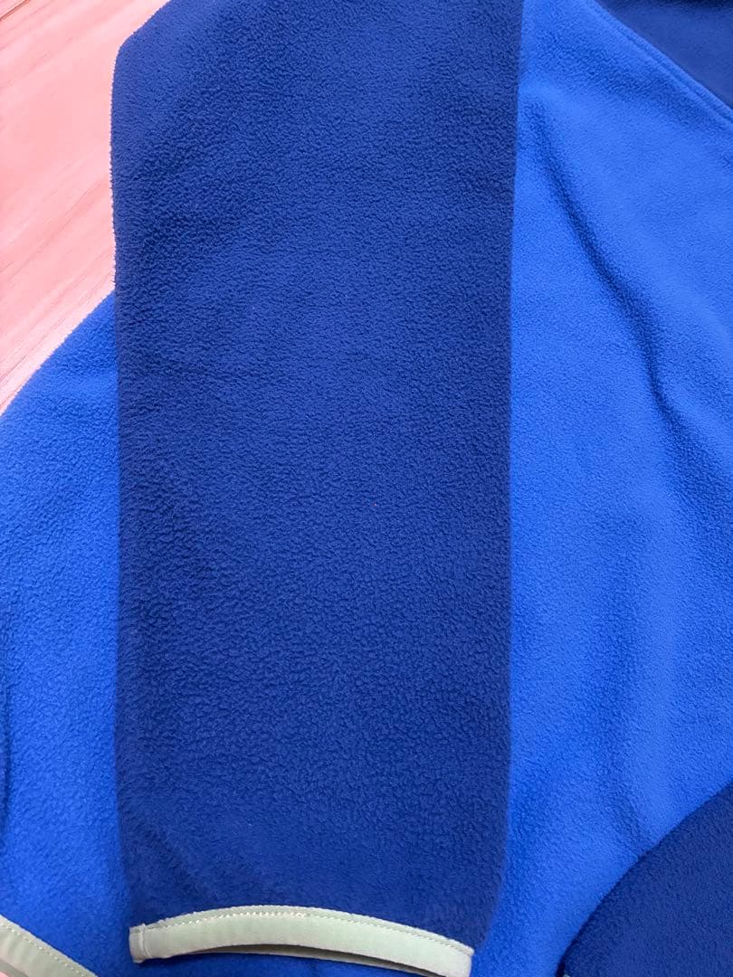 patagonia パタゴニア マイクロD スナップT