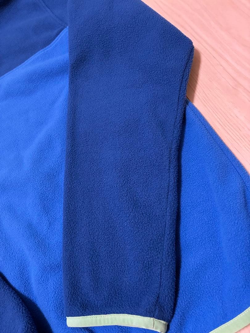 patagonia パタゴニア マイクロD スナップT