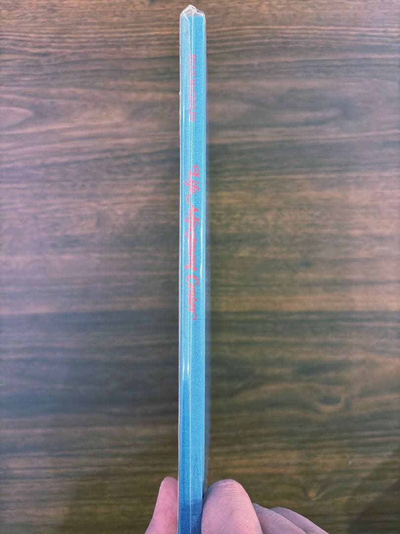 未開封 RYAN McGINLEY Life Adjustment Center