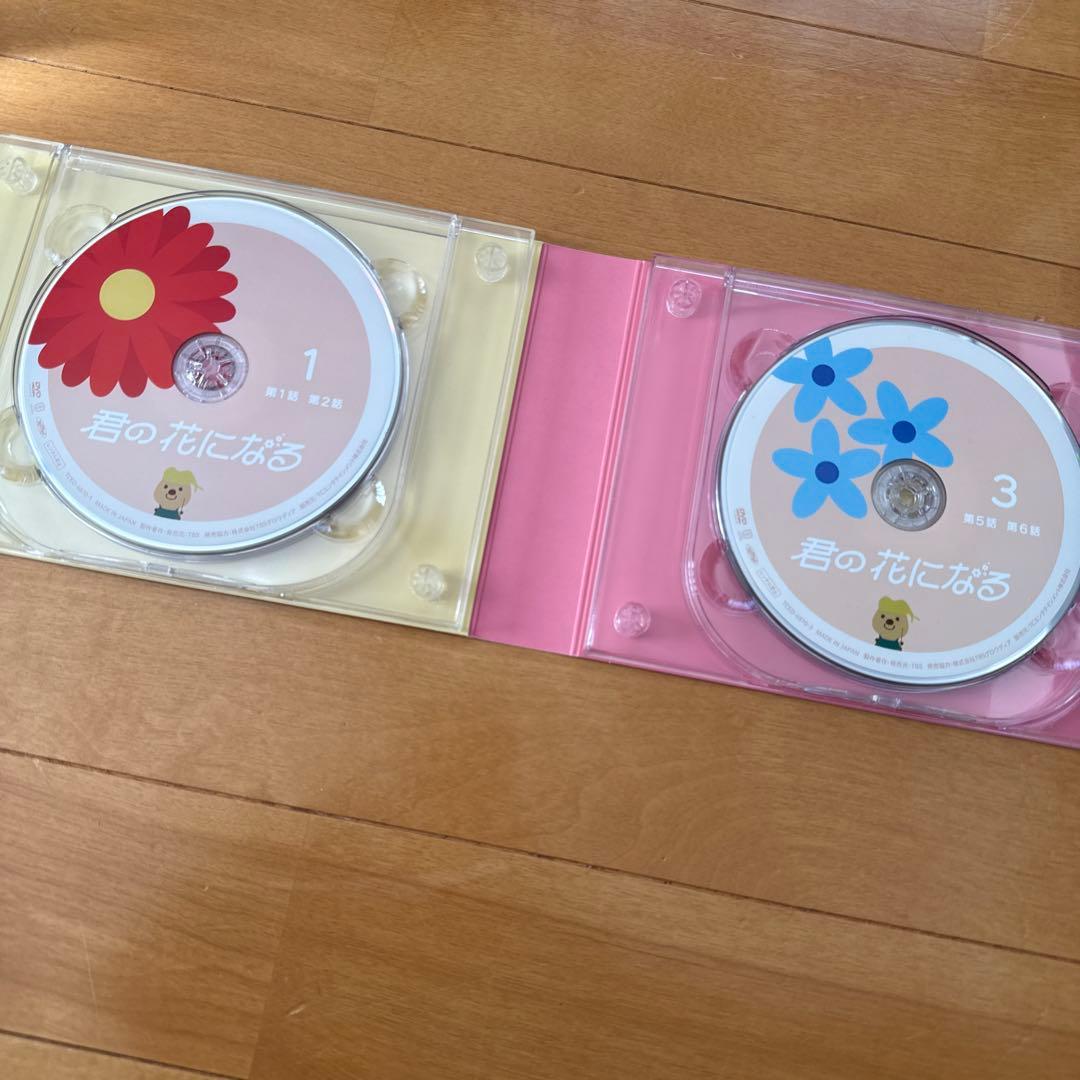君の花になる　DVD BOX セット