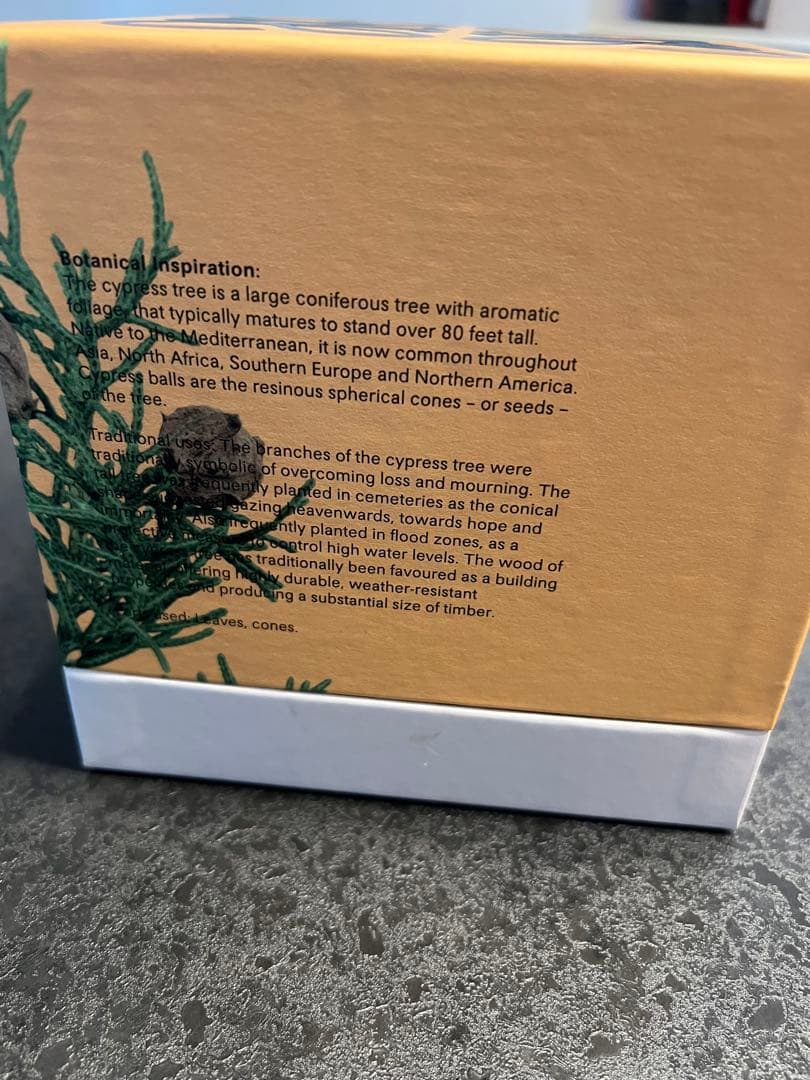 LOEWE サイプレスキャンドル 未使用品