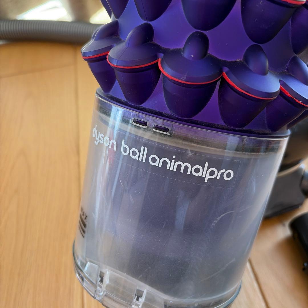 dyson animalballpro CY25 掃除機