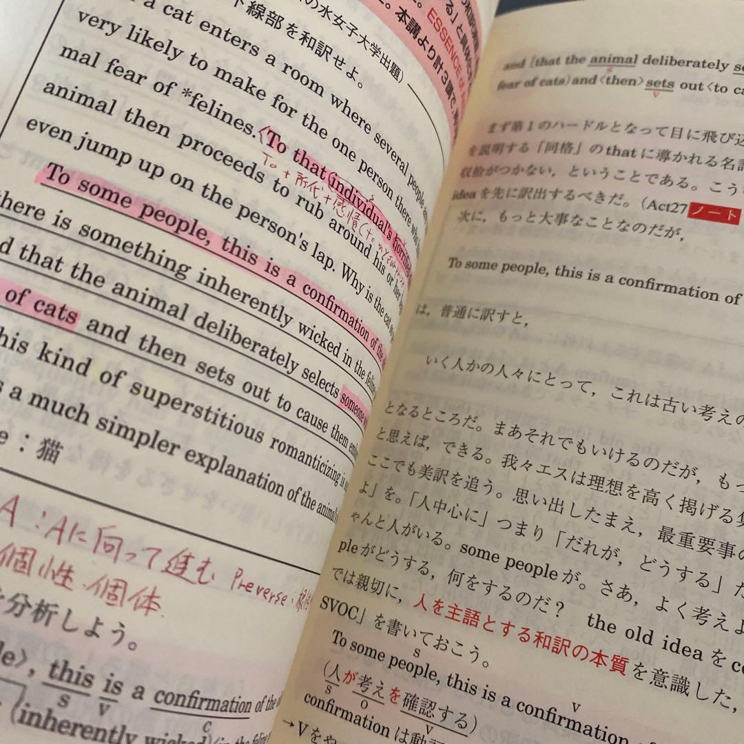 【最安値】代ゼミTVネットテキスト　中畑のインテグラル英文読解S 中畑佐知子