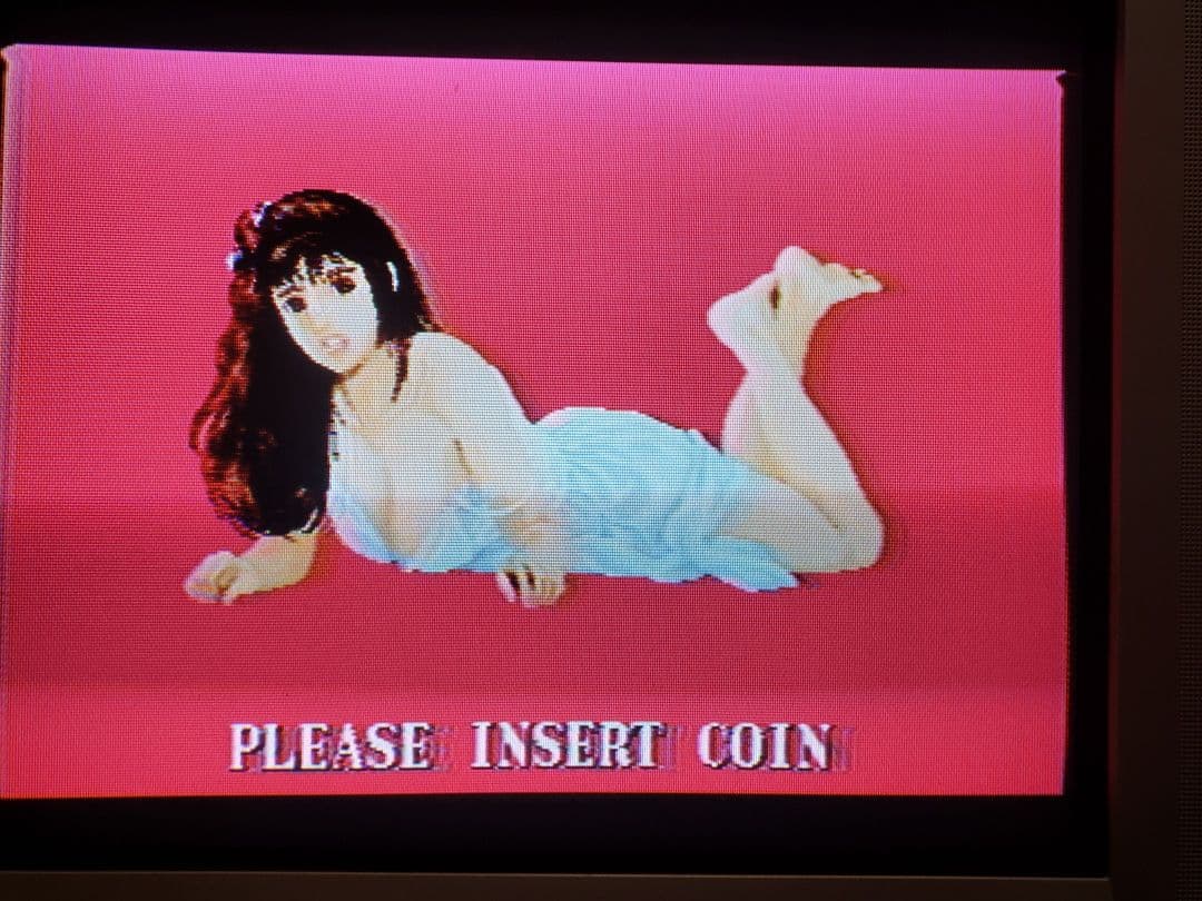 アイレム アーケード基板 四川省女子寮編