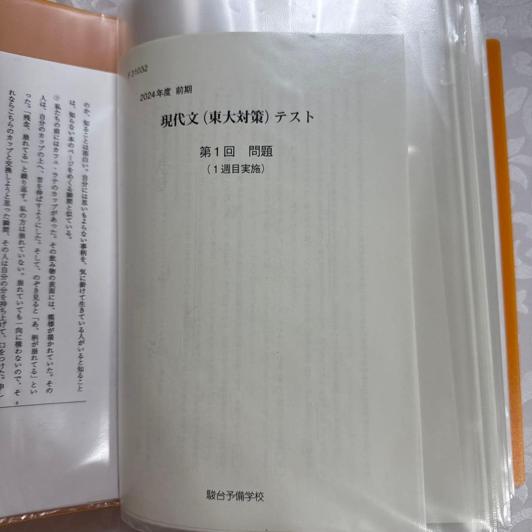駿台 EX東大文系演習コース 最上位クラス 現代文 古文 漢文 フルセット