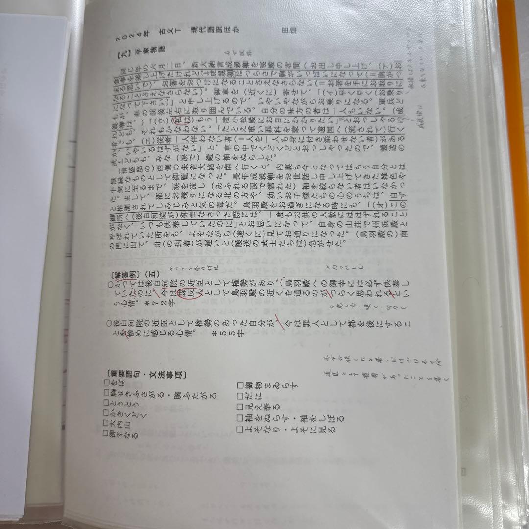 駿台 EX東大文系演習コース 最上位クラス 現代文 古文 漢文 フルセット