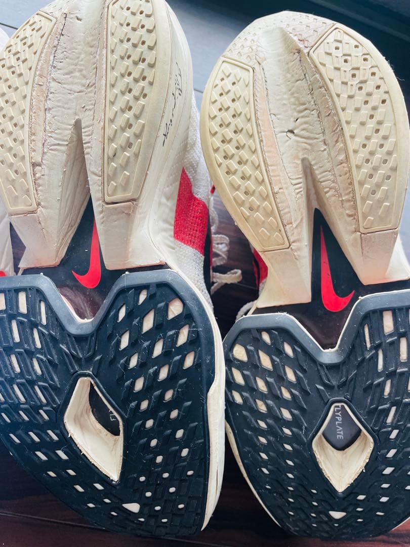 アルファフライ2