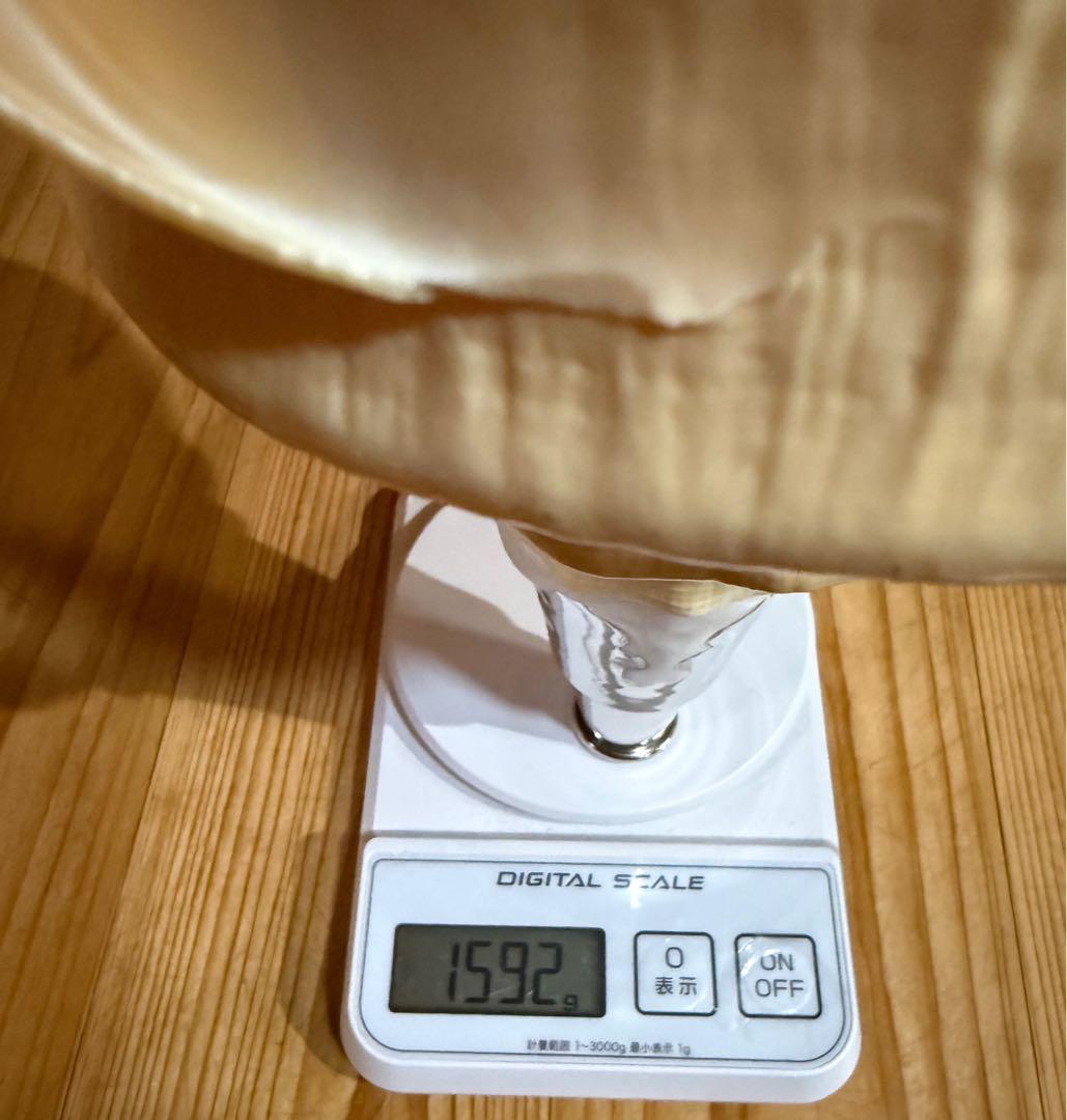 綺麗な特大45㎝アラフラオオニシ 法螺貝　ほら貝　ホラガイ