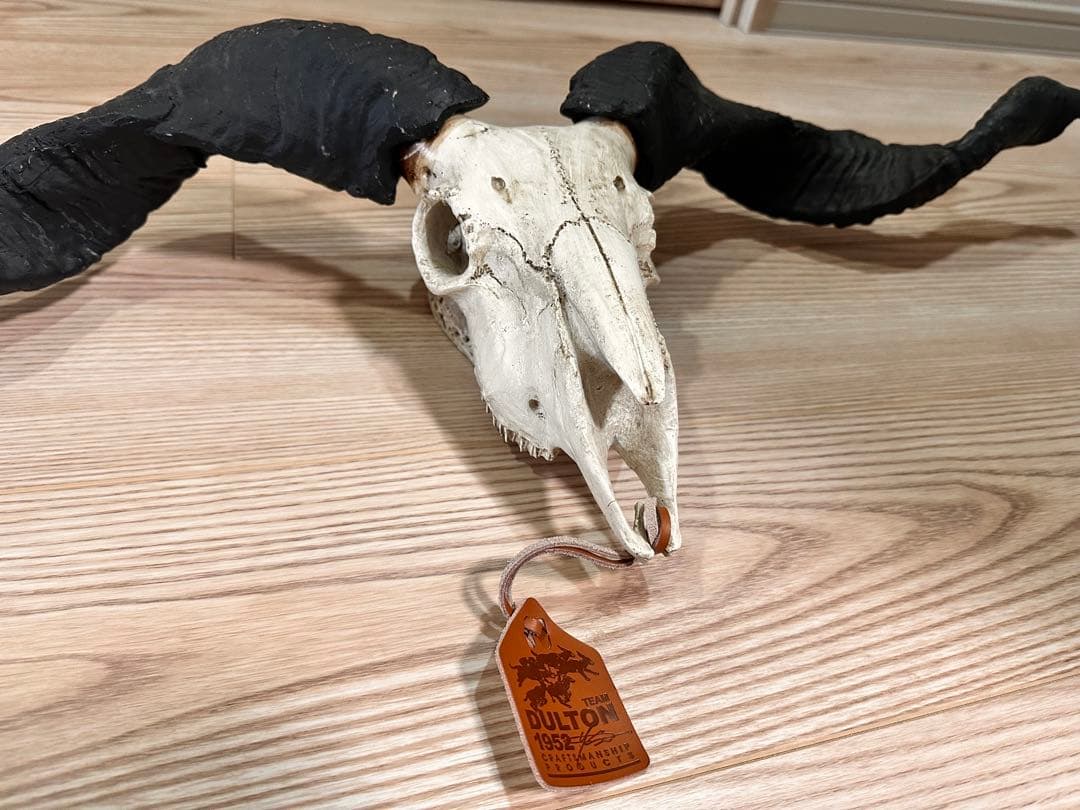 スカルオブジェ 骨 ブラック　【ダルトン】　DULTON