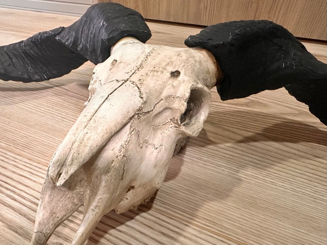 スカルオブジェ 骨 ブラック　【ダルトン】　DULTON