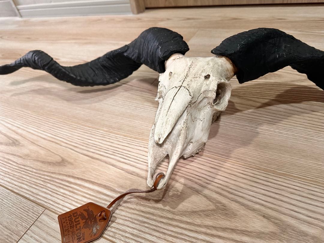 スカルオブジェ 骨 ブラック　【ダルトン】　DULTON