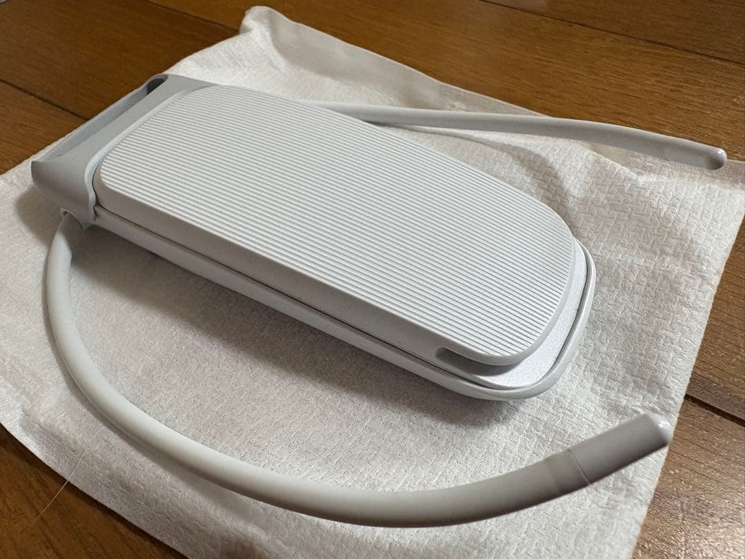 SONY REON POCKET 5 ネッククーラー　レオンポケット5