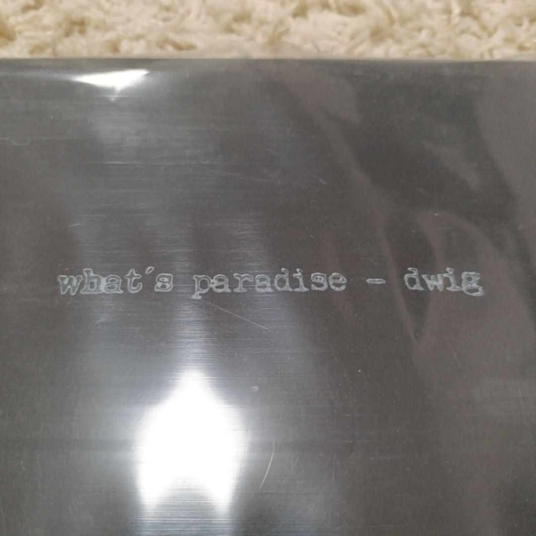 洋楽 Dwig Whats paradice