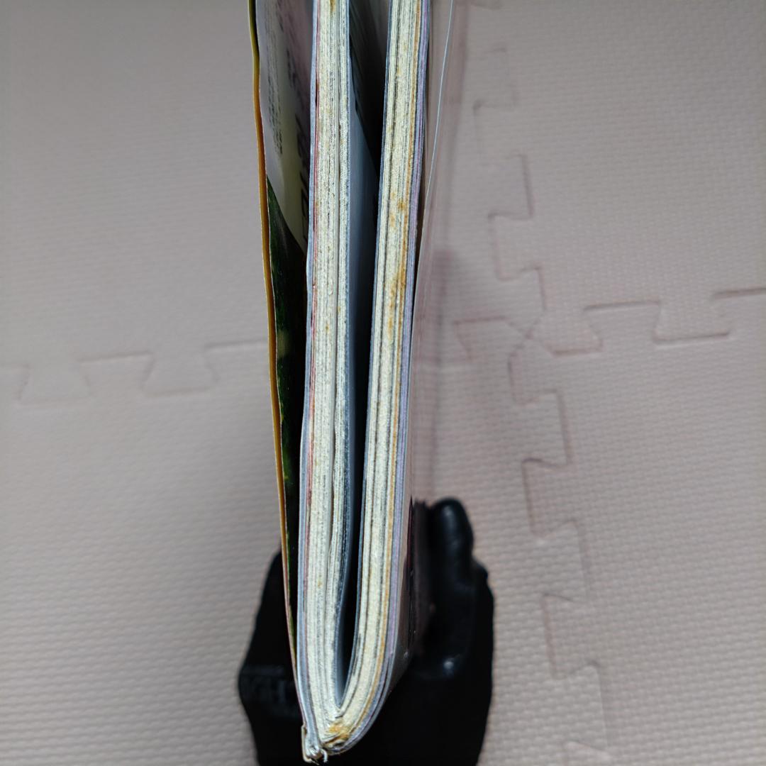 【希少・付録未開封】週刊プレイボーイ 2014年10月20日号 no.42