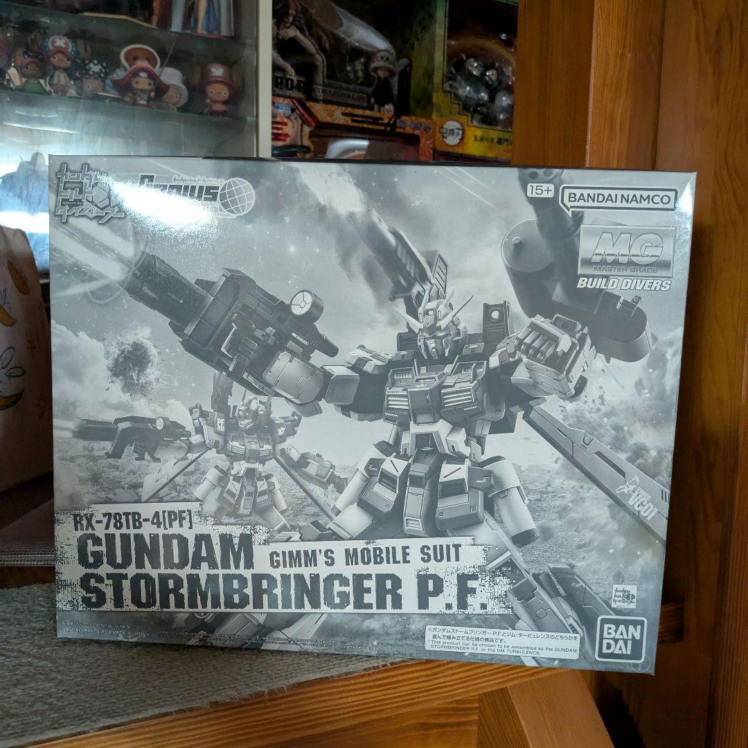 ガンプラ 未組立 MG ガンダムストームブリンガー P.F. ジムタービュレンス
