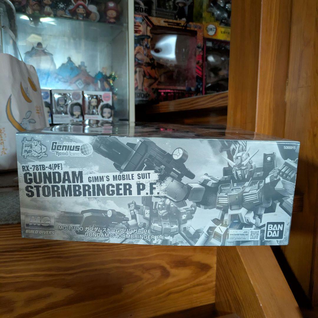 ガンプラ 未組立 MG ガンダムストームブリンガー P.F. ジムタービュレンス