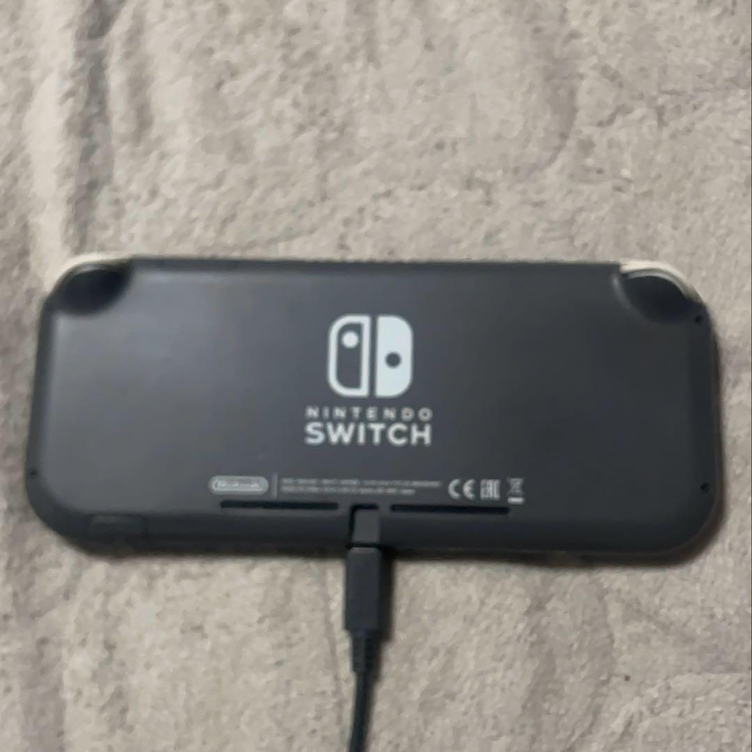 任天堂 Nintendo Switch Lite グレー