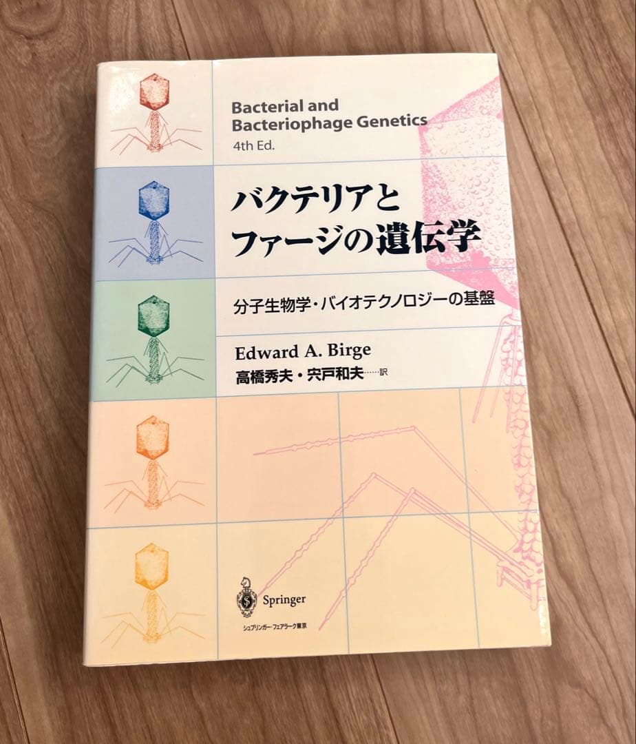 希少　バクテリアとファージの遺伝学　分子生物学・バイオテクノロジーの基盤