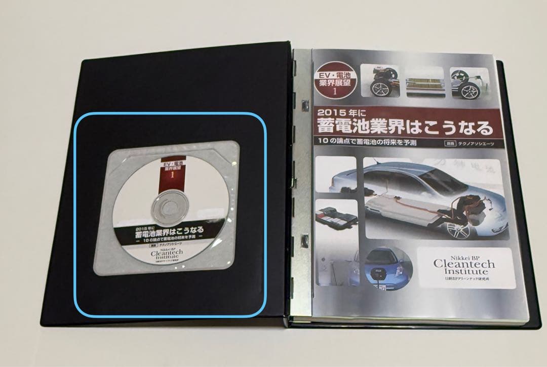 2015年に蓄電池業界はこうなる