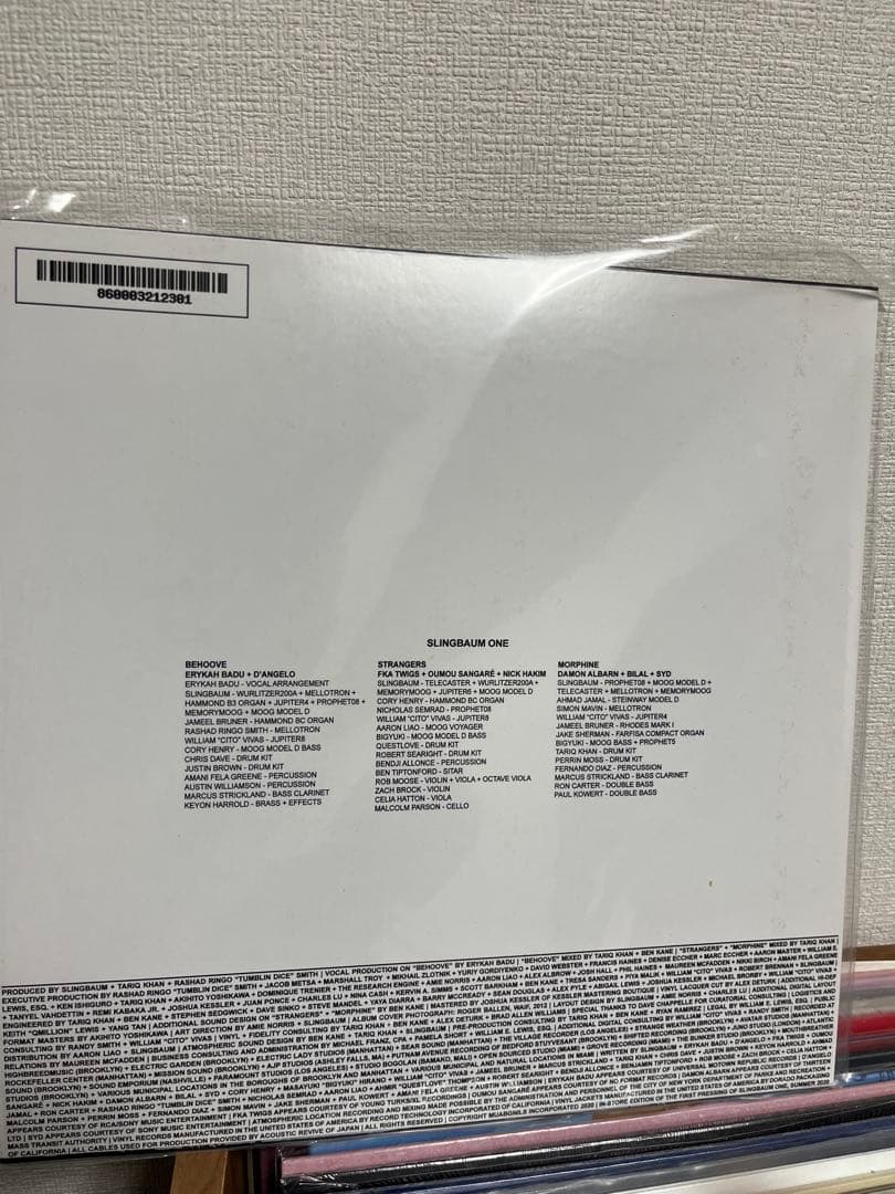 洋楽 Slingbaum One (12\"/180g/45RPM)