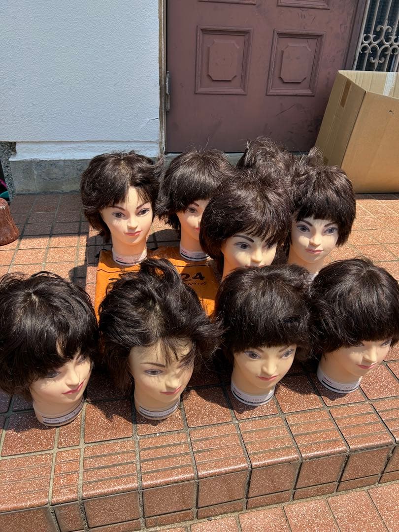 ウィッグ　カット済み　国家試験