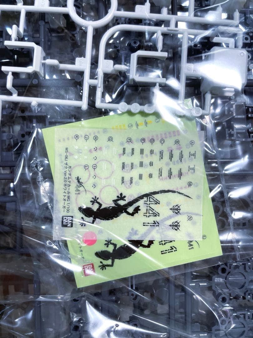 MG 1/100 MS-06J ザクII Ver.2.0 ホワイトオーガー