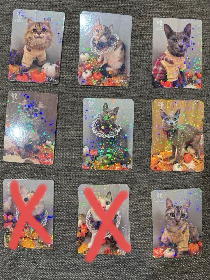 【バラ売り可】にゃんずトレカ松本店 2025