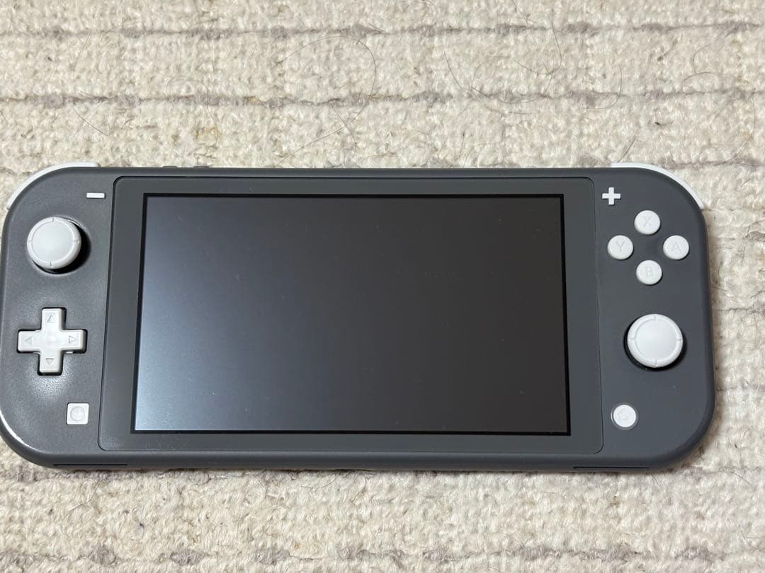 Switchライトグレー＋ソフト1本　おまけ付き