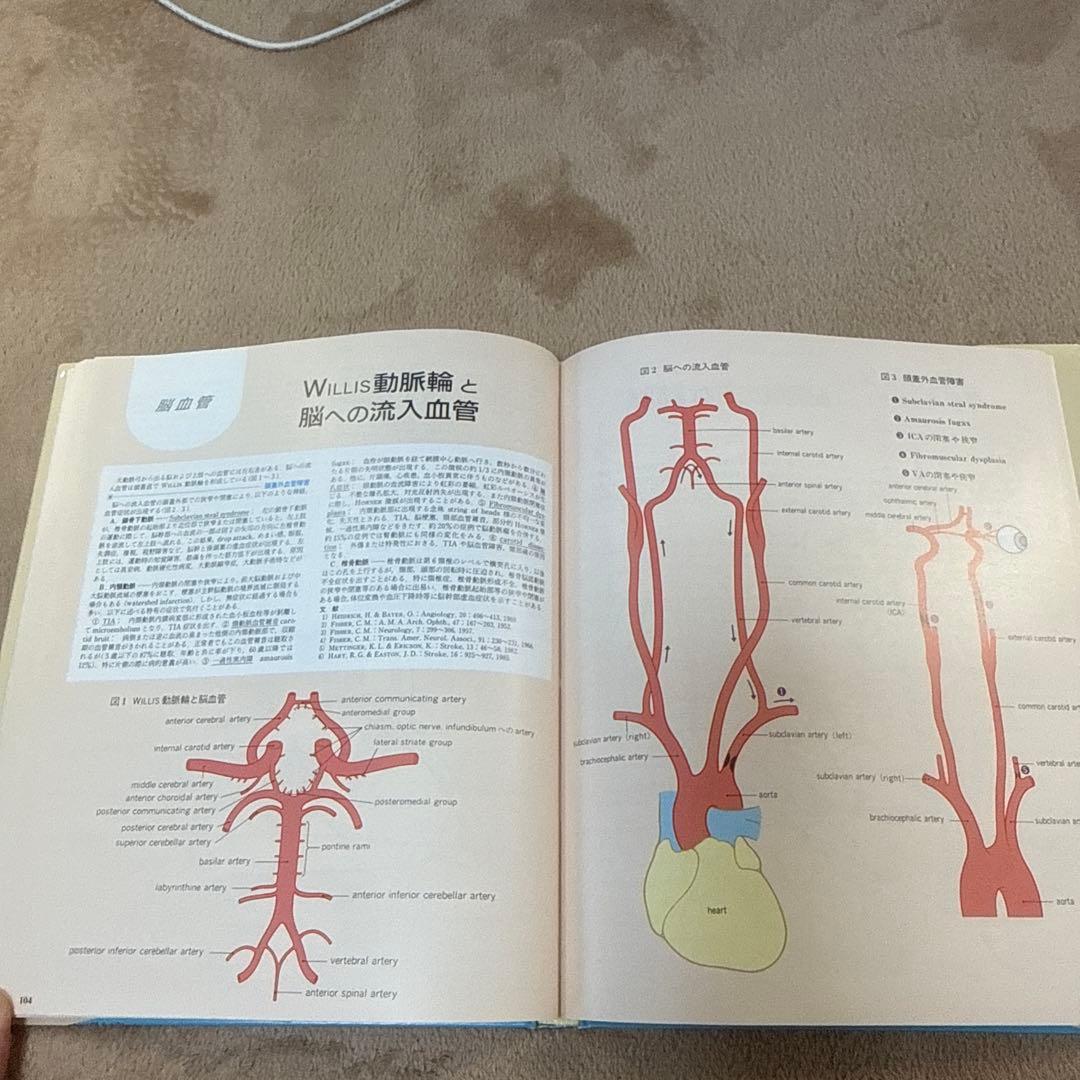 医学書　臨床のための神経機能解剖学　定価:税込¥17,600