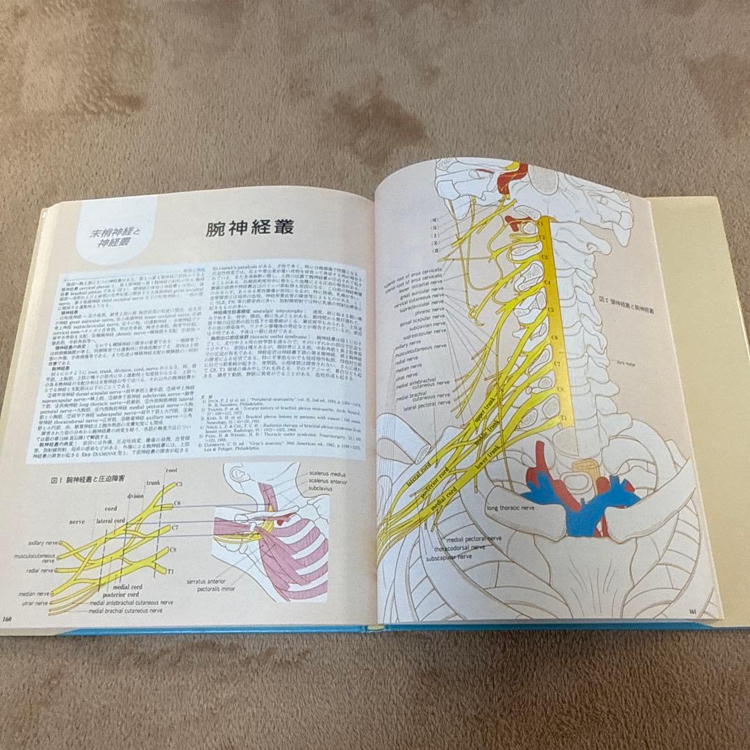 医学書　臨床のための神経機能解剖学　定価:税込¥17,600