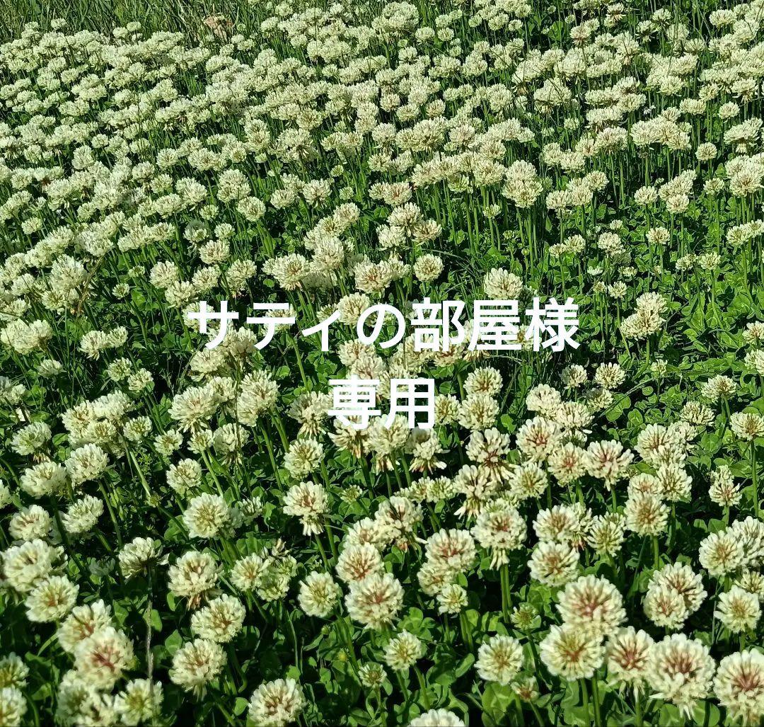 サティの部屋35枚セット