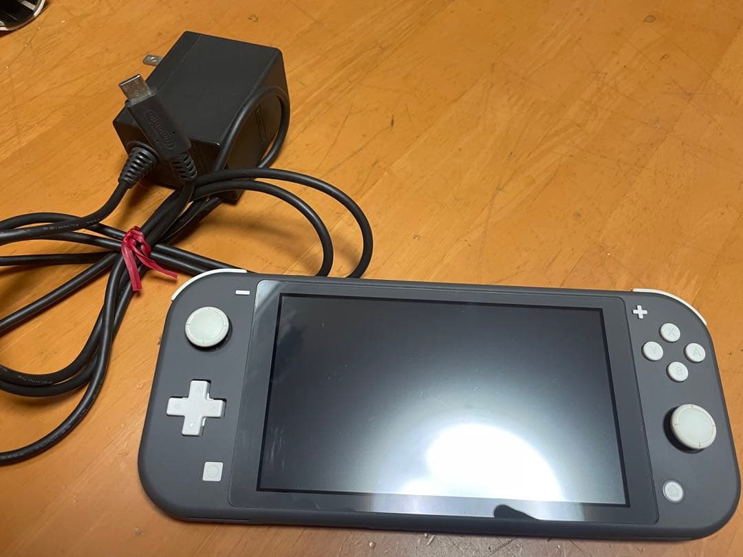 Switchライト グレー 本体＋充電器