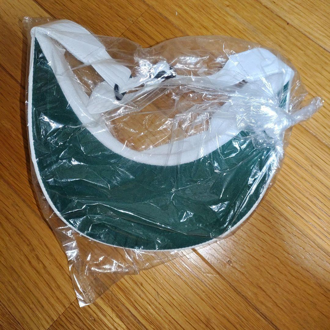 中日ドラゴンズ 立浪和義 和田一浩 直筆サイン入り サンバイザー