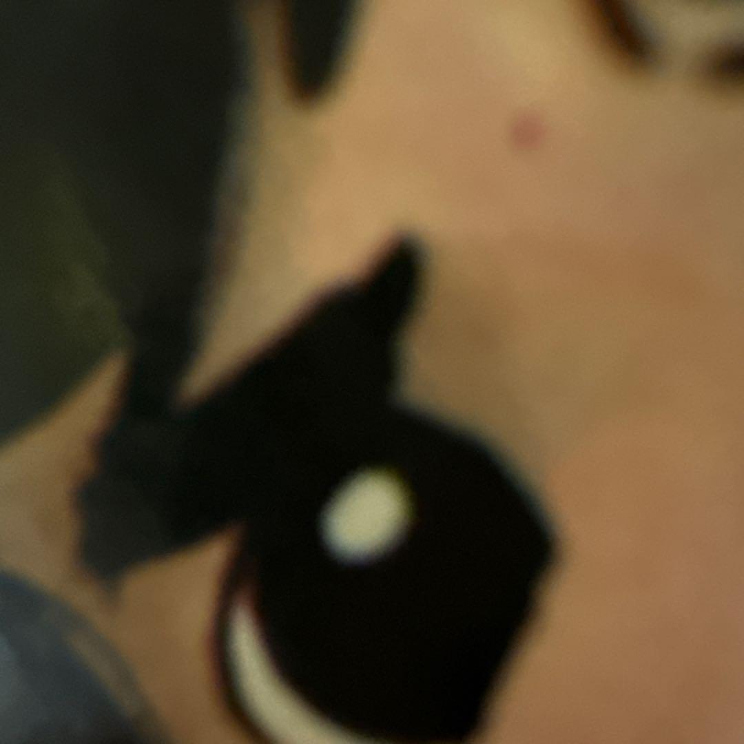 伊賀の影丸 特集号 1966年 9月号