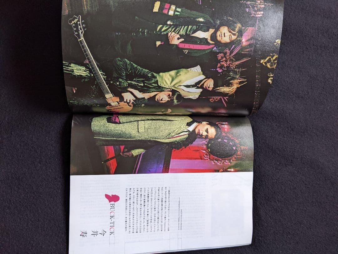 音楽と人　GLAY　宮本浩次　エレファントカシマシ　BUCK-TICK　スピッツ