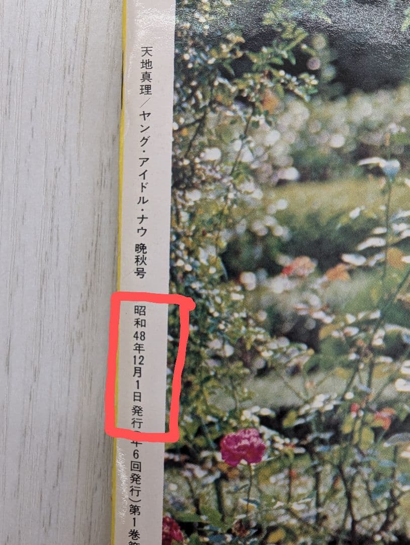 【天地真理】1973『 ヤングアイドルナウ VOL.2 晩秋号』中古品※特典付