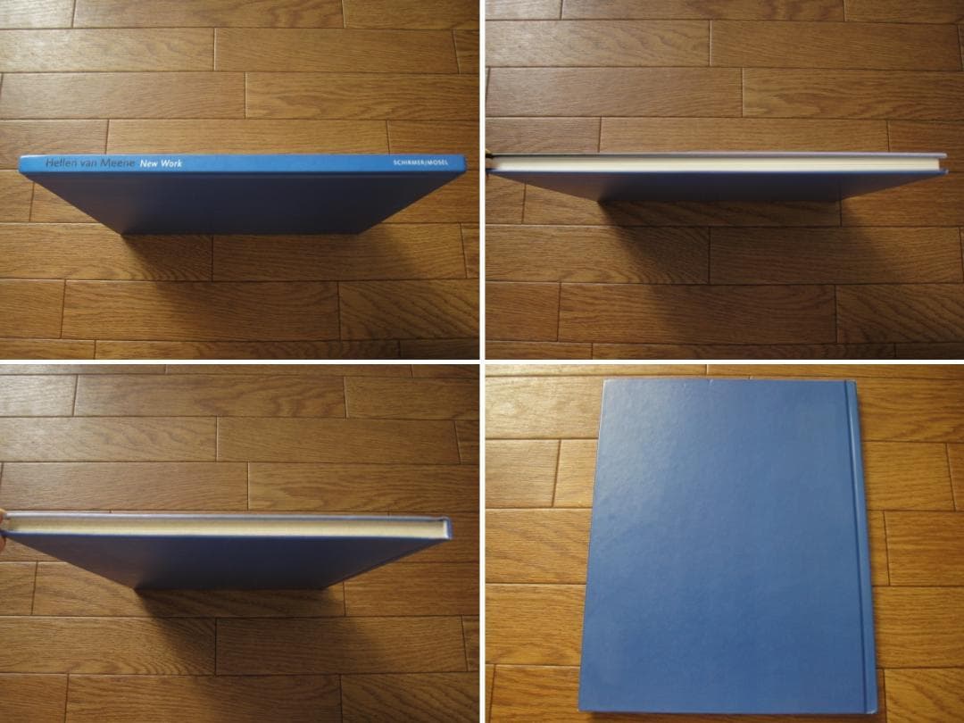 アート・デザイン・音楽 Hellen van Meene New Work