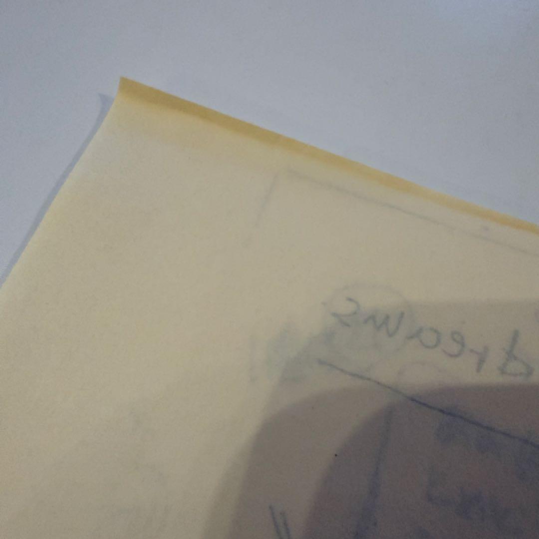 未使用品　ザ・ルースターズ「VIRUS SECURITY」CDボックスセット