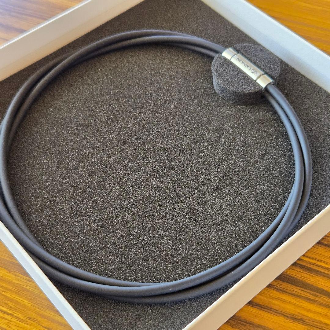 SEVルーパー 3タイプ ハイパフォーマンスモデル 黒 レクサス