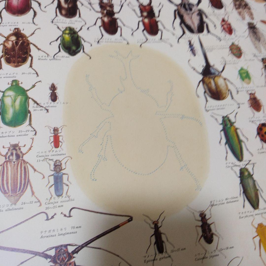 世界一大きい絵本　人類は何を見てきたか　講談社