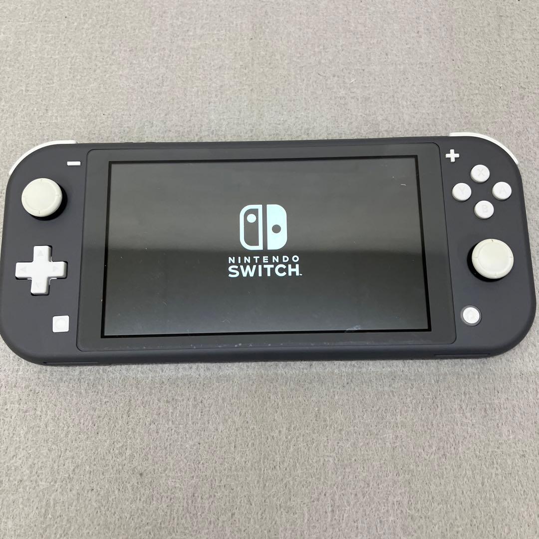 GD6101 Nintendo Switch Lite グレー美品
