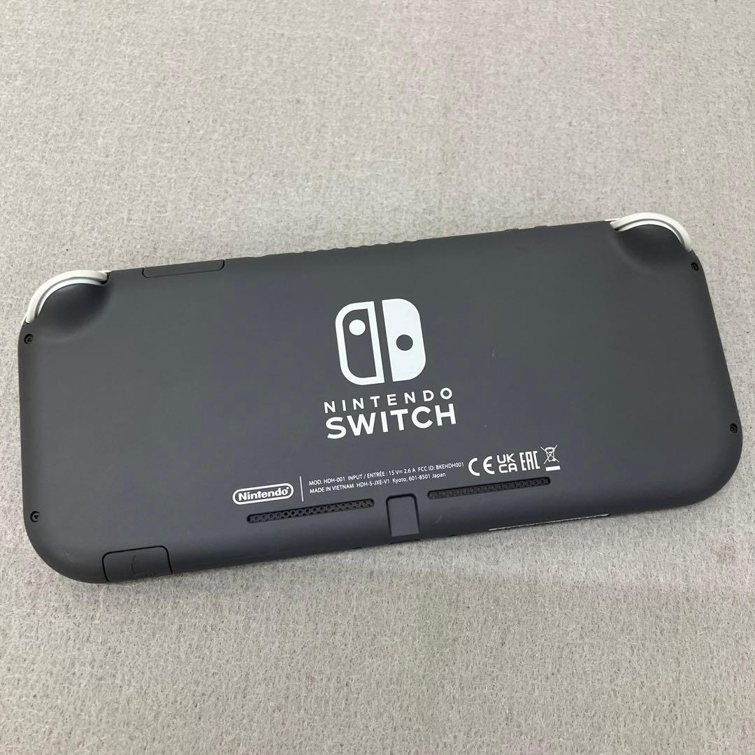 GD6101 Nintendo Switch Lite グレー美品