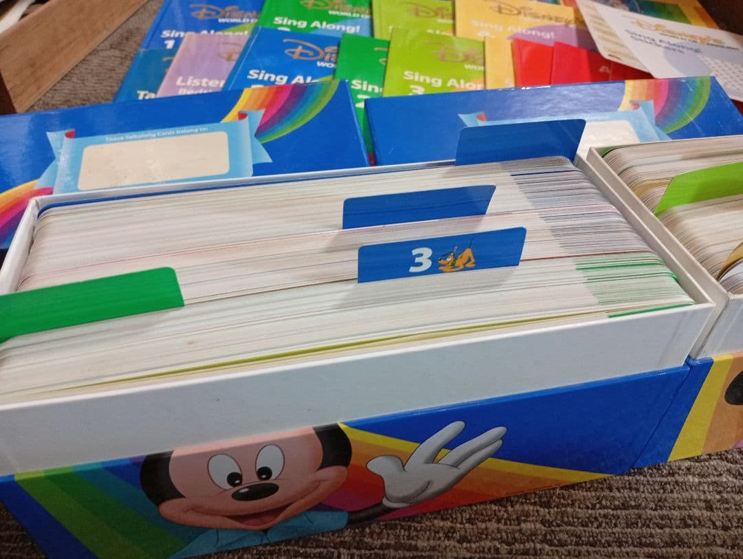 ディズニーワールドオブイングリッシュ DVD &本　セット　英語　知育絵本