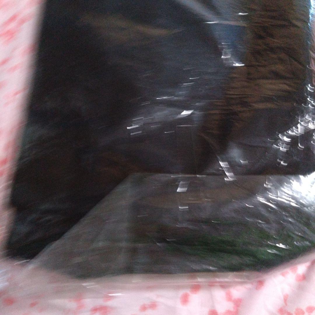 ミーガンtシャツ未使用 L