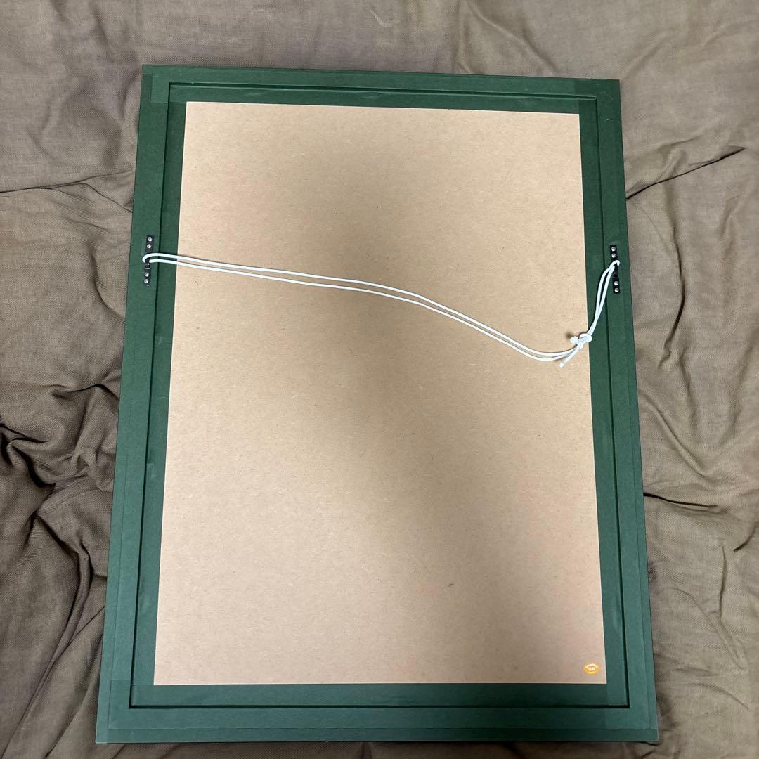 ドロヘドロ　複製原画　限定100枚　直筆サイン入り　額縁　Dorohedoro