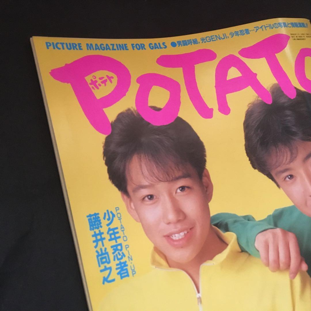 美品　ポテト　光GENJI 少年忍者　前田耕陽　大沢樹生　昭和アイドル