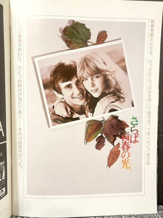 1979年　映画　さらば青春の光　オリジナルポスター付き